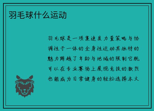 羽毛球什么运动